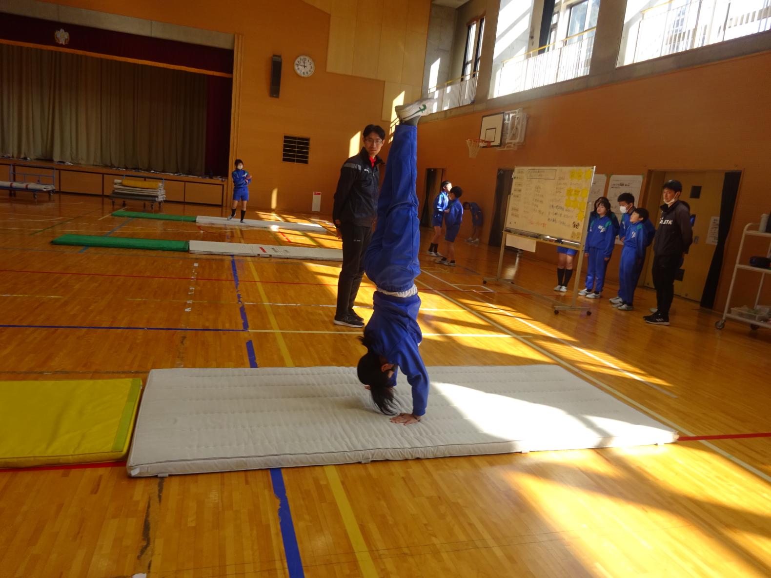 DSC01519 DSC01519