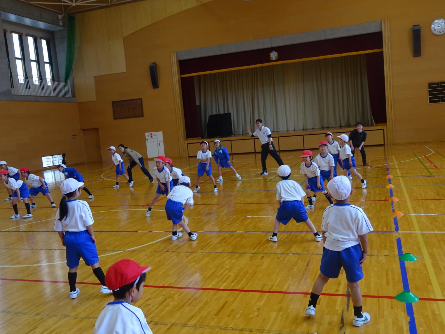 DSC01782 DSC01782
