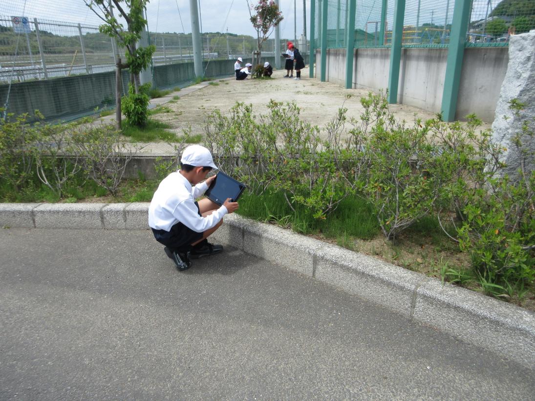 探索3 探索3