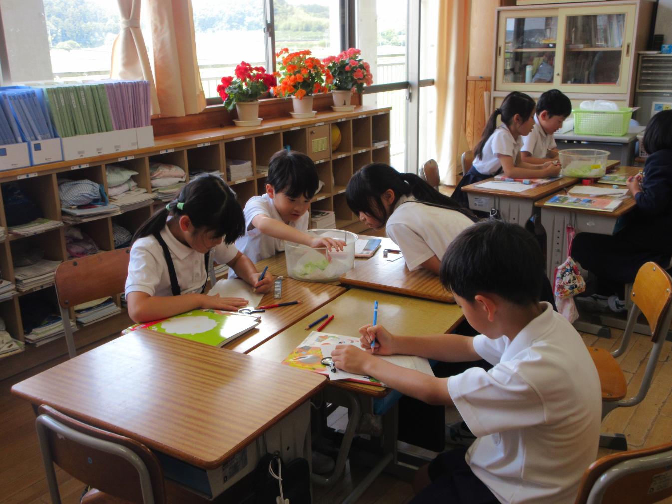 訪問4
