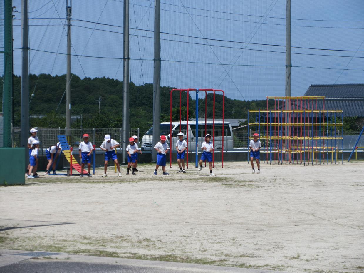 IMG_8491 IMG_8491