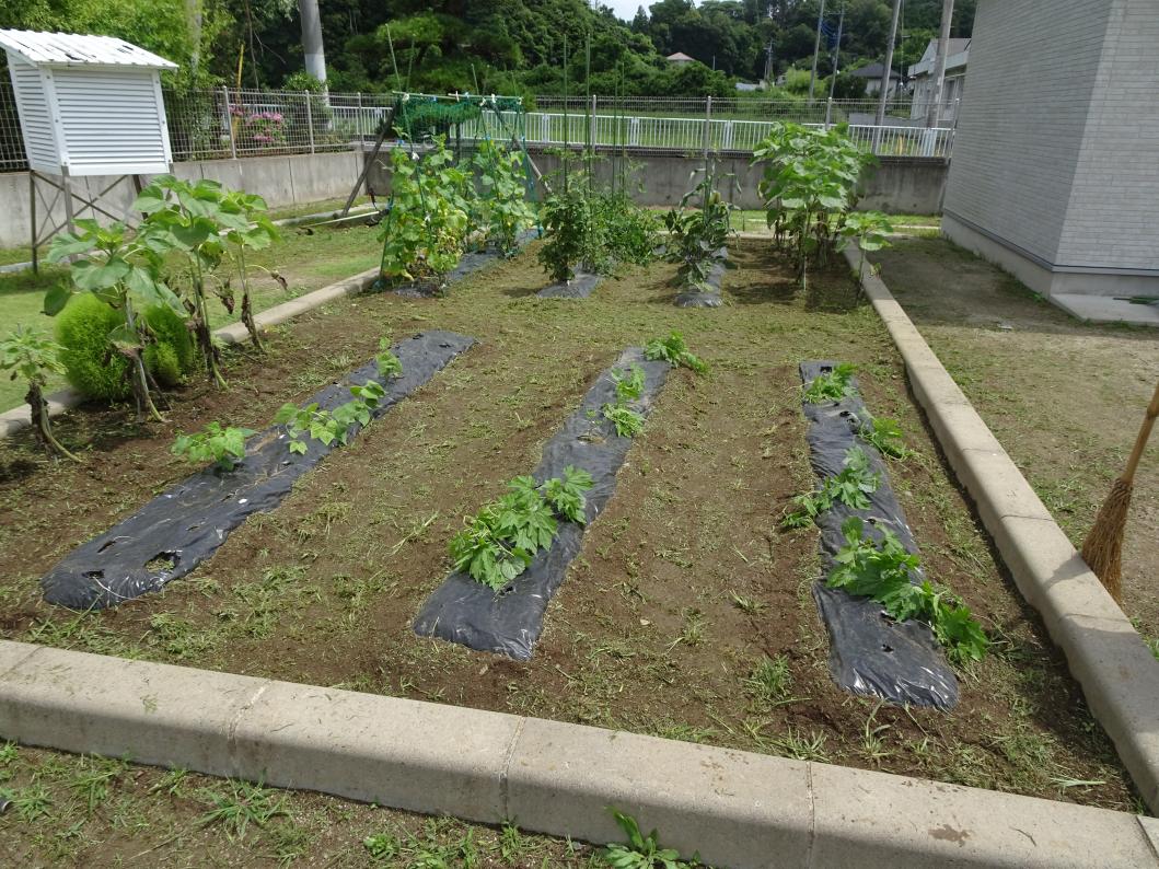 農場1 農場1