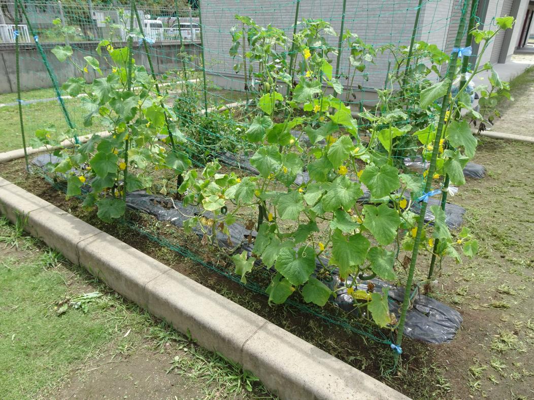 農場2 農場2