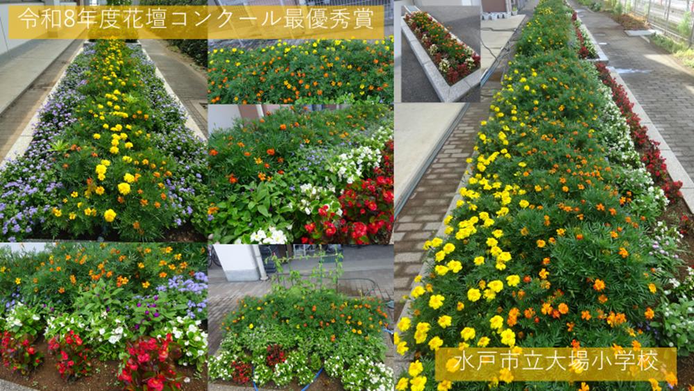 DSC02447 DSC02447