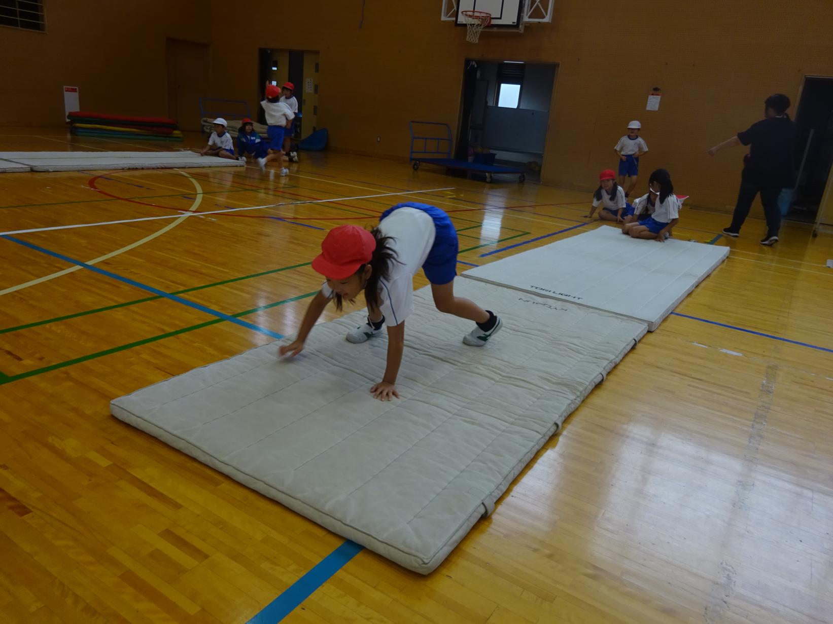 DSC02500 DSC02500