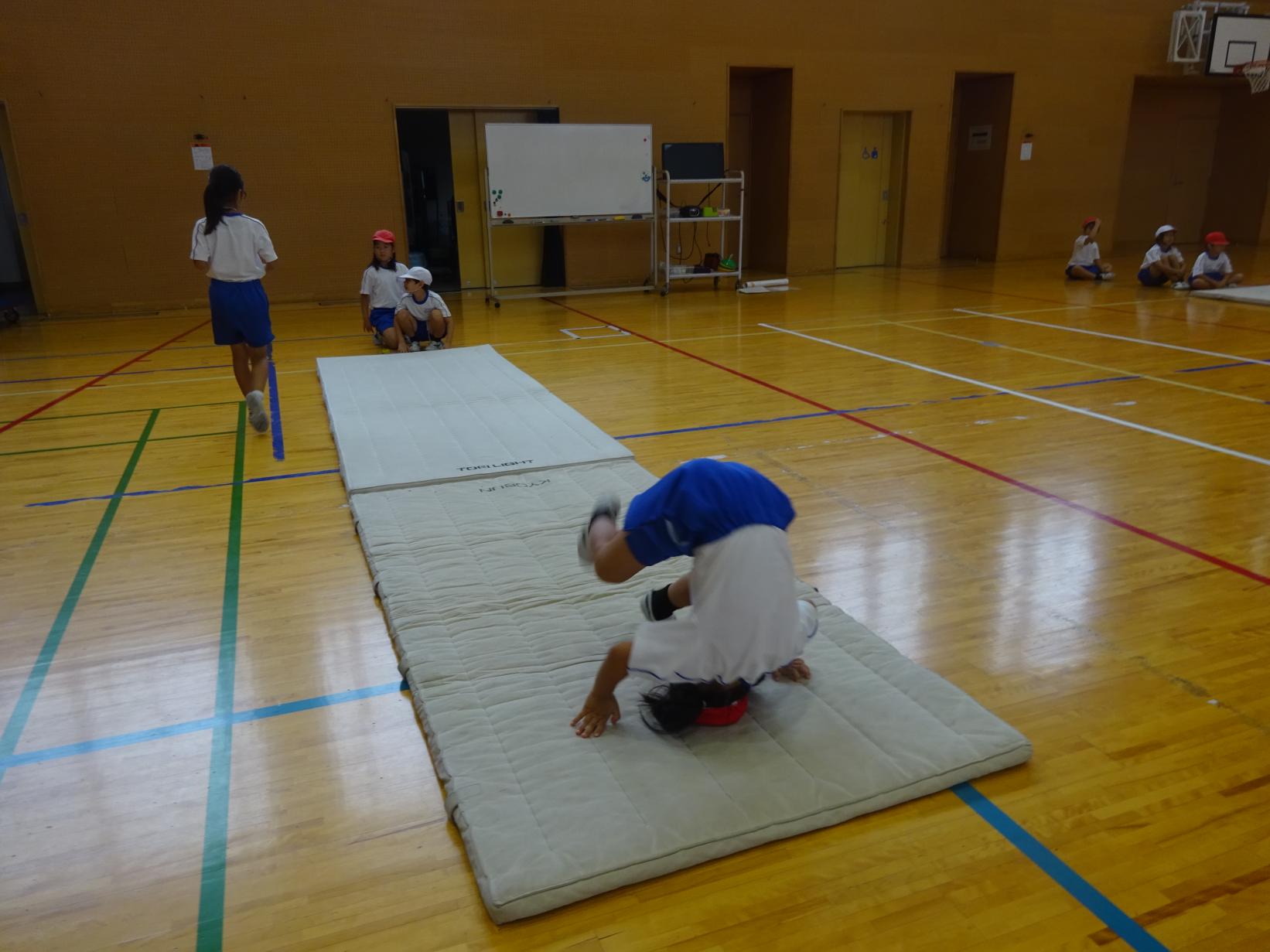 DSC02500 DSC02500