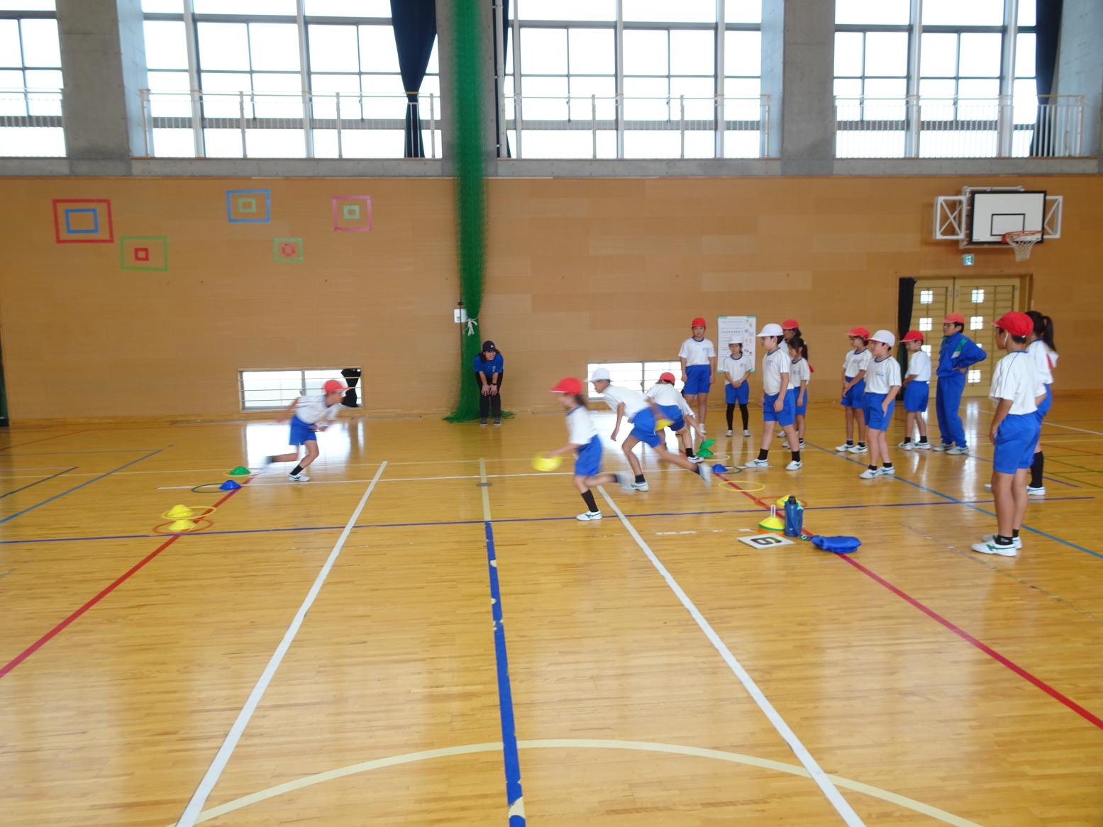 DSC07500 DSC07500