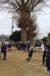 IMG_9223 IMG_9223