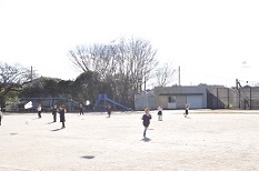 DSC_1029 DSC_1029