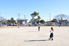 DSC_1037 DSC_1037