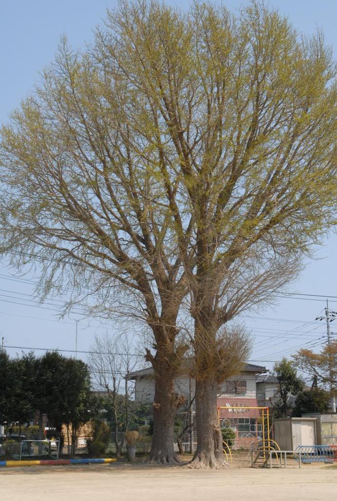 DSC_0545 DSC_0545
