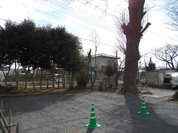 DSCN0449