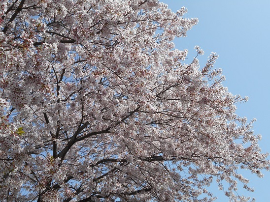 DSCN0034