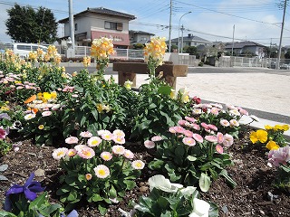 春休み6 春休み6