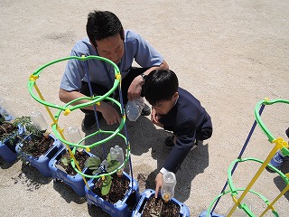 野菜2 野菜2
