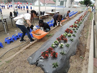 除草作業5