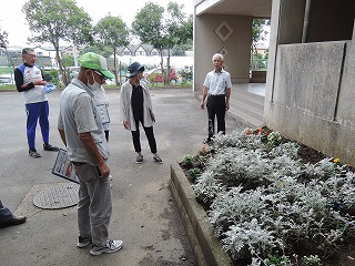 花壇コンクール(1)
