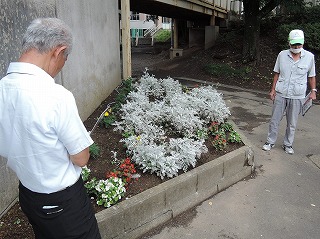 花壇コンクール(2)