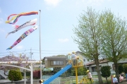 こいのぼりをあげたよ!