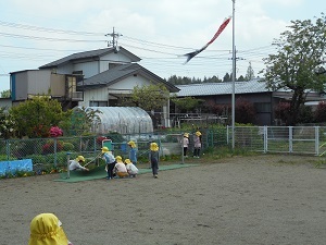 ダンゴムシ探し300