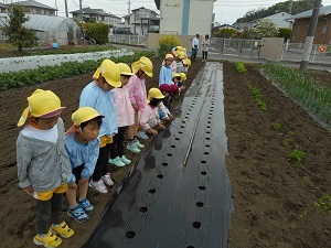 畑にきたよ300