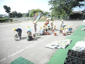 種まき・苗植え 種まき・苗植え