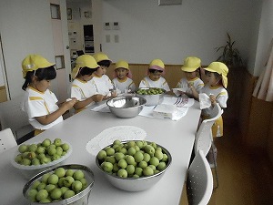 梅づくり (6) 梅づくり (6)