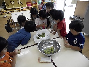 梅づくり (7) 梅づくり (7)