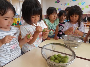 梅づくり (1) 梅づくり (1)