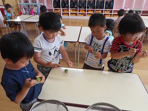 梅づくり (2) 梅づくり (2)