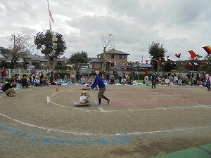DSC05250 DSC05250