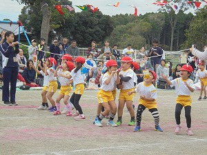 DSC05255 DSC05255