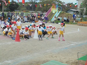 DSC05294 DSC05294
