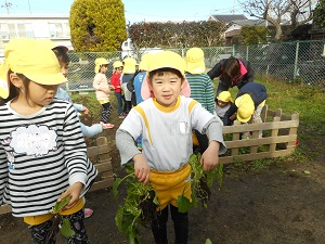 ほうれんそう1 ほうれんそう1