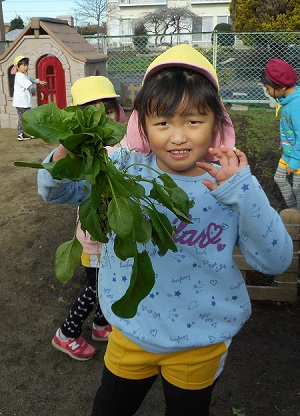 ほうれん草2 ほうれん草2