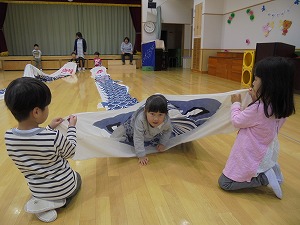 DSC06529 DSC06529