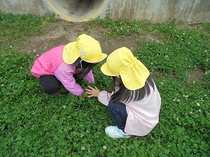 DSC00050 DSC00050