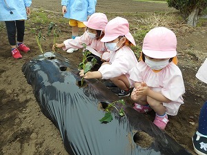 DSCN0164