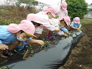 DSCN0165 DSCN0165