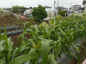 DSCN0177