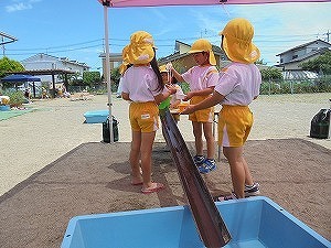DSC08241