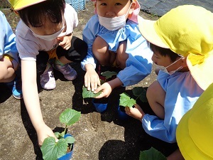 触ってみよう (2)