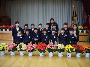 P4060061 P4060061
