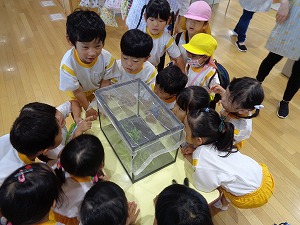 DSC02540 DSC02540