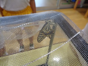 DSC02543 DSC02543