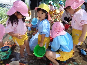 DSC02665 DSC02665