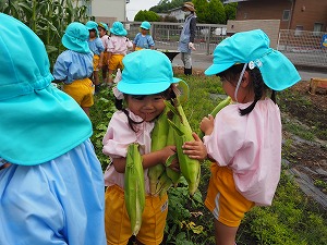 P6260734 P6260734