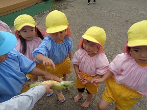 DSC02780 DSC02780