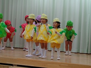 DSC01550 DSC01550