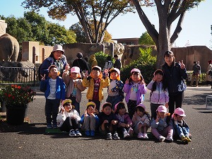 はと集合 はと集合